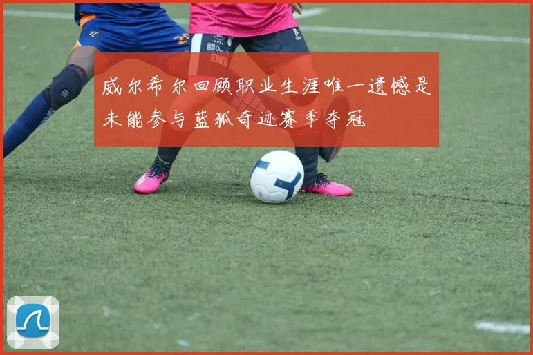 威尔希尔回顾职业生涯唯一遗憾是未能参与蓝狐奇迹赛季夺冠