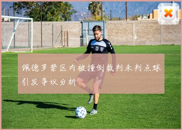 佩德罗禁区内被撞倒裁判未判点球引发争议分析
